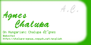 agnes chalupa business card